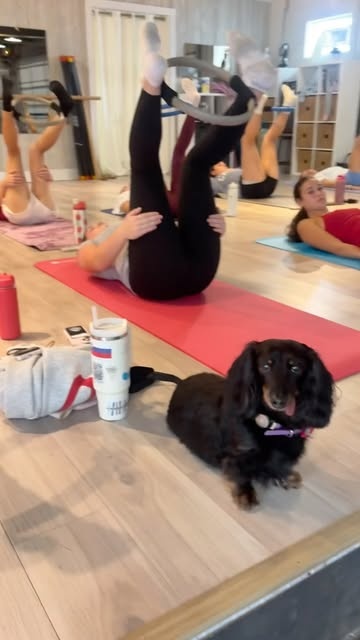 Movement & puppy love at Seven Studios
